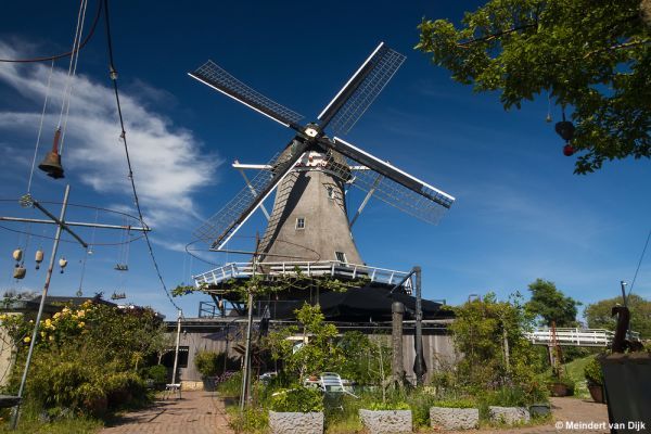 Molen de Korenaar